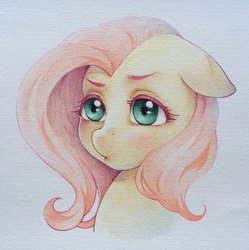 Size: 1273x1280 | Tagged: safe, artist:chakanyuantu, fluttershy, g4, colored pencil drawing, female, floppy ears, portrait, solo, traditional art