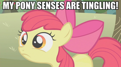 Size: 891x500 | Tagged: safe, screencap, apple bloom, earth pony, pony, g4, image macro, meme