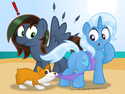 Size: 1024x774 | Tagged: safe, artist:aleximusprime, trixie, oc, oc:string shred, corgi, dog, pony, unicorn, g4, assisted exposure, beach, bikini, butt, clothes, coppertone parody, cracked horn, exclamation point, female, horn, mare, plot, swimsuit, the great and powerful ass, wingboner