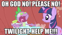 Size: 885x500 | Tagged: safe, spike, twilight sparkle, parasprite, g4, image macro, meme