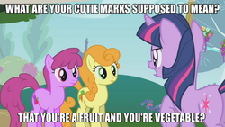 Size: 889x500 | Tagged: safe, edit, edited screencap, screencap, berry punch, berryshine, carrot top, golden harvest, twilight sparkle, g4, image macro, meme