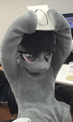 Size: 579x960 | Tagged: safe, artist:coma392, octavia melody, g4, fursuit, irl, japan, japan ponycon, photo