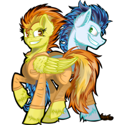 Size: 1024x1024 | Tagged: safe, artist:euphori-art, soarin', spitfire, g4, clothes, never doubt rainbowdash69's involvement, prison outfit, unshorn fetlocks