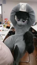 Size: 576x1024 | Tagged: safe, apple bloom, applejack, octavia melody, g4, fursuit, irl, japan, judges, photo