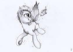 Size: 1280x903 | Tagged: safe, artist:yellowrobin, oc, oc only, oc:ebon topaz, earth pony, fish, pony, black and white, grayscale, monochrome, sketch, solo, swimming, traditional art, underwater