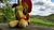 Size: 2000x1125 | Tagged: dead source, safe, artist:owlisun, sunset shimmer, pony, unicorn, g4, grass, grass field, irl, lying down, meadow, mountain, outdoors, photo, plushie, prone, solo