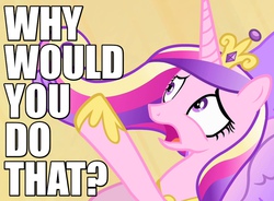 Size: 850x625 | Tagged: safe, screencap, princess cadance, g4, three's a crowd, caption, d:, disgusted, female, frown, horrified, image macro, meme, open mouth, pointing, raised hoof, reaction image, solo, why would you do that, wide eyes