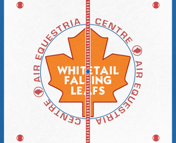 Size: 1147x936 | Tagged: safe, center ice, concept art, hockey, ice hockey, nhl, texture, toronto maple leafs