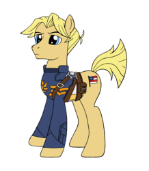 Size: 1600x1832 | Tagged: safe, artist:edcom02, artist:jmkplover, earth pony, pony, captain america, captain equestria, marvel, ponified, simple background, solo, spiders and magic: capcom invasion, steve rogers, transparent background