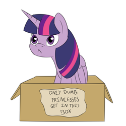 Size: 1280x1280 | Tagged: safe, artist:rivibaes, twilight sparkle, alicorn, pony, g4, :<, behaving like a cat, box, female, mare, pony in a box, simple background, sitting, solo, twilight cat, twilight sparkle (alicorn), white background