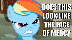 Size: 959x540 | Tagged: safe, edit, edited screencap, screencap, rainbow dash, g4, face of mercy, female, image macro, meme, solo