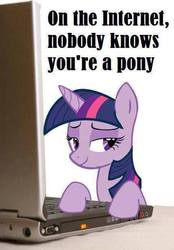 Size: 428x616 | Tagged: source needed, safe, twilight sparkle, g4, bedroom eyes, computer, female, internet, laptop computer, meme, on the internet nobody knows you're a dog, smug, smuglight sparkle, solo