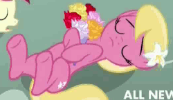 Size: 522x303 | Tagged: safe, screencap, lily, lily valley, roseluck, pony, g4, season 5, slice of life (episode), animated, bouquet, cute, female, leg twitch, lilybetes, male, playing dead