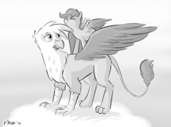 Size: 1280x949 | Tagged: safe, artist:ribnose, gilda, scootaloo, griffon, pegasus, pony, g4, cloud, cute, grayscale, monochrome, ponies riding griffons, riding, scootaloo can't fly, spread wings, wings