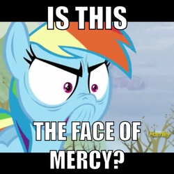 Size: 1200x1200 | Tagged: safe, screencap, rainbow dash, g4, do i look angry, face of mercy, female, image macro, meme, solo