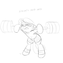 Size: 1000x1000 | Tagged: safe, artist:khorme, oc, oc only, oc:ultramare, earth pony, pony, belly button, bike shorts, clothes, do you even lift, gritted teeth, monochrome, sketch, solo, sweat, sweatband, weight lifting, weights, workout