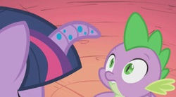 Size: 960x528 | Tagged: safe, screencap, spike, twilight sparkle, bridle gossip, g4, eyes on the prize, lip bite, out of context, twilight flopple, wide eyes