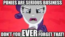 Size: 638x364 | Tagged: source needed, safe, rarity, sweetie belle, g4, angry, caption, image macro, meme, serious business