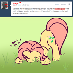 Size: 1024x1024 | Tagged: safe, artist:squiby-327, posey, ask posey, g1, ask, cute, eating, female, grass, grazing, herbivore, horses doing horse things, poseybetes, solo, tumblr