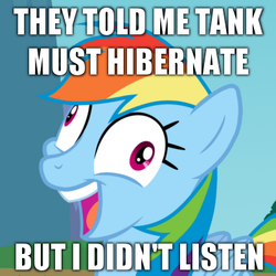 Size: 400x400 | Tagged: safe, artist:tomfraggle, rainbow dash, pegasus, pony, g4, my little pony: friendship is magic, tanks for the memories, derp, exploitable meme, female, i didn't listen, image macro, mare, meme, silly, silly pony, solo, text