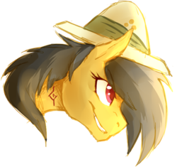 Size: 500x469 | Tagged: safe, artist:thelionmedal, daring do, g4, female, solo