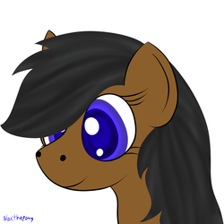 Size: 2500x2500 | Tagged: safe, artist:asknoxthepony, high res, portrait, request, solo