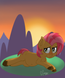 Size: 1049x1257 | Tagged: safe, artist:quarantinedchaoz, babs seed, g4, belly button, chubby, female, on side, solo, sunset