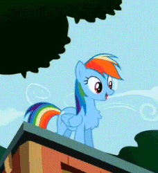 Size: 273x299 | Tagged: safe, artist:xieril, edit, edited screencap, screencap, rainbow dash, pegasus, pony, g4, may the best pet win, animated, behaving like a bird, chest fluff, eyes closed, female, gif, grin, impossibly large chest fluff, mare, smiling, smirk, solo, talking