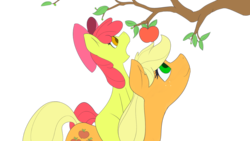 Size: 1600x900 | Tagged: safe, artist:solipsus, apple bloom, applejack, earth pony, pony, g4, apple, apple bloom riding applejack, apple sisters, female, filly, foal, hatless, mare, missing accessory, open mouth, ponies riding ponies, riding, siblings, simple background, sisters, transparent background