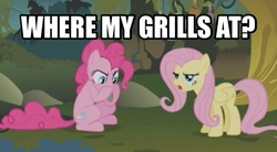 Size: 606x334 | Tagged: safe, edit, edited screencap, screencap, fluttershy, pinkie pie, earth pony, pegasus, pony, bridle gossip, g4, caption, duo, female, flutterguy, image macro, mare, meme, outdoors, sitting, song reference, spitty pie, standing, text