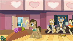 Size: 1920x1080 | Tagged: safe, screencap, colter sobchak, derpy hooves, doctor whooves, jeff letrotski, time turner, earth pony, pony, g4, slice of life (episode), donny, male, stallion