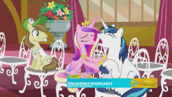 Size: 500x281 | Tagged: safe, screencap, hayseed turnip truck, princess cadance, shining armor, alicorn, earth pony, pony, unicorn, g4, slice of life (episode), animated, bucktooth, chair, crying, crying armor, discovery family, discovery family logo, female, liquid pride, male, mare, sad, sad armor, sitting, stallion, whining, whining armor