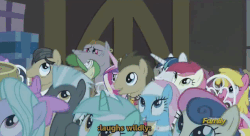 Size: 635x346 | Tagged: safe, screencap, bon bon, bulk biceps, cheerilee, cherry berry, doctor whooves, filthy rich, flitter, hayseed turnip truck, horte cuisine, lotus blossom, lyra heartstrings, ponet, princess cadance, roseluck, savoir fare, shining armor, sweetie drops, thunderlane, time turner, alicorn, earth pony, pegasus, pony, unicorn, g4, slice of life (episode), animated, clothes, female, fourth doctor's scarf, male, mare, scarf, squishy cheeks, stallion, striped scarf, subtitles