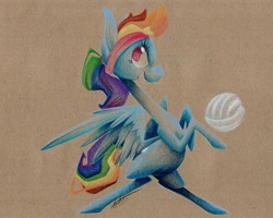 Size: 640x513 | Tagged: safe, artist:getchanoodlewet, rainbow dash, pegasus, pony, g4, ball, bipedal, female, headband, mare, open mouth, signature, simple background, solo, sports, traditional art, volleyball