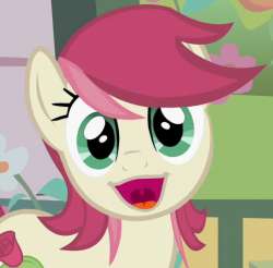 Size: 250x246 | Tagged: safe, edit, screencap, roseluck, earth pony, pony, g4, faic, female, looking at you, open mouth, ponyface, solo
