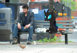 Size: 1024x711 | Tagged: safe, edit, kevin, bird, changeling, human, g4, slice of life (episode), bench, irl, irl human, keanu reeves, photo, ponies in real life, sad keanu
