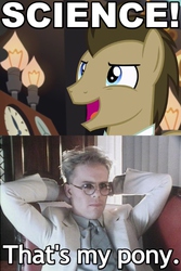 Size: 480x720 | Tagged: safe, screencap, doctor whooves, time turner, earth pony, pony, g4, slice of life (episode), caption, glasses, image macro, male, meme, round glasses, science, she blinded me with science, song reference, stallion, that's my x, thomas dolby