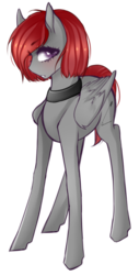 Size: 1024x2017 | Tagged: safe, artist:cristate, oc, oc only, pegasus, pony, female, mare, solo