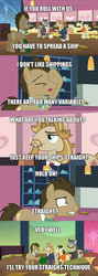 Size: 512x1435 | Tagged: safe, screencap, colter sobchak, doctor whooves, jeff letrotski, theodore donald "donny" kerabatsos, time turner, earth pony, pony, g4, slice of life (episode), bronybait, caption, image macro, male, meme, screencap comic, shipping, stallion, straight