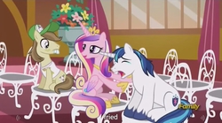 Size: 1278x711 | Tagged: safe, screencap, hayseed turnip truck, princess cadance, shining armor, g4, slice of life (episode), meme, youtube caption