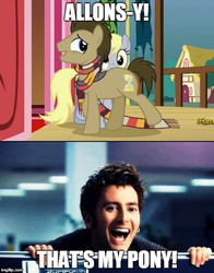 Size: 500x639 | Tagged: safe, edit, edited screencap, screencap, derpy hooves, doctor whooves, time turner, earth pony, pony, g4, slice of life (episode), allons-y, clothes, comparison, david tennant, dialogue, doctor who, fourth doctor's scarf, image macro, male, meme, scarf, stallion, striped scarf, that's my pony, that's my x