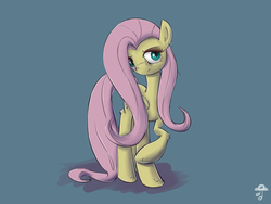 Size: 1024x768 | Tagged: safe, artist:replacer808, fluttershy, g4, female, solo