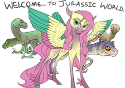 Size: 1280x896 | Tagged: safe, artist:thepoisonjackal, fluttershy, pegasus, pony, velociraptor, blue (raptor), charlie, colored wings, crossover, delta, echo, feathered fetlocks, jurassic world, multicolored wings, simple background, tail, tail feathers, white background, wings