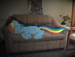 Size: 640x480 | Tagged: safe, artist:destructodash, artist:fabulouspony, rainbow dash, pegasus, pony, g4, couch, female, irl, mare, photo, plant, ponies in real life, poster, shadow, sleeping, solo, vector