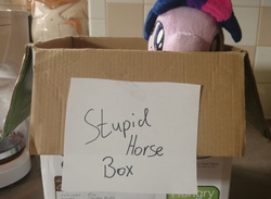 Size: 2845x2082 | Tagged: safe, artist:scootasway, twilight sparkle, pony, g4, 4de, blatant lies, box, high res, irl, photo, plushie, pony in a box, pony shaming, pure unfiltered evil, shaming, worst pony
