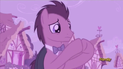 Size: 640x360 | Tagged: safe, screencap, doctor whooves, time turner, earth pony, pony, g4, slice of life (episode), animated, male, solo, stallion