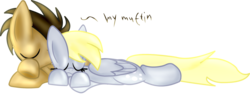 Size: 2615x1009 | Tagged: safe, artist:catavenger, derpy hooves, doctor whooves, time turner, earth pony, pegasus, pony, g4, cuddling, cute, eyes closed, male, ship:doctorderpy, shipping, simple background, sleeping, snuggling, stallion, straight, transparent background