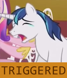 Size: 640x742 | Tagged: safe, princess cadance, shining armor, g4, my little pony: friendship is magic, slice of life (episode), crying, crying armor, exploitable meme, eyes closed, headcanon, meme, open mouth, ptsd, sad, sad armor, triggered, whining, whining armor