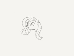 Size: 2048x1536 | Tagged: safe, artist:georgeflutts, fluttershy, g4, female, monochrome, simple background, sketch, solo, traditional art