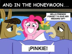 Size: 711x532 | Tagged: safe, cranky doodle donkey, matilda, pinkie pie, donkey, earth pony, pony, g4, cockblock, engrish, honeymoon, meme, ship:crankilda, trio